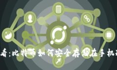 2025必看：比特币如何安全存储在手机冷钱包中