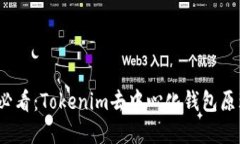 2025必看：Tokenim去中心化钱包原理详解
