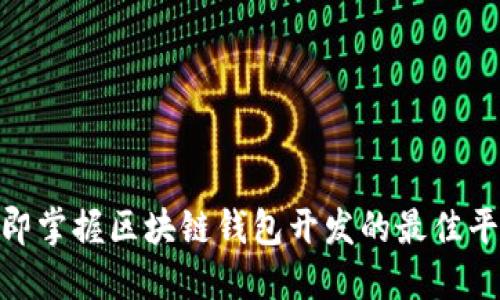 2025必看：立即掌握区块链钱包开发的最佳平台与技术指南