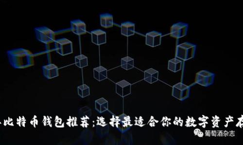 2023年比特币钱包推荐：选择最适合你的数字资产存储方案