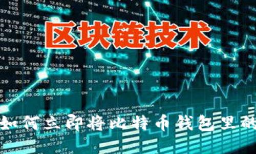 2023年如何立即将比特币钱包里的钱转出？