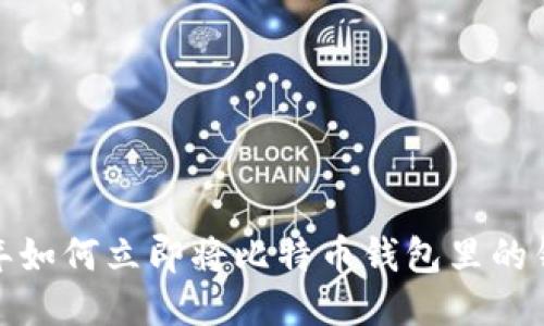 2023年如何立即将比特币钱包里的钱转出？