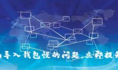 2025必看！解决Tokenim导入钱包慢的问题，立即提升