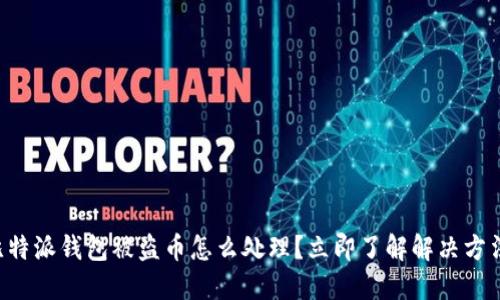 比特派钱包被盗币怎么处理？立即了解解决方法！