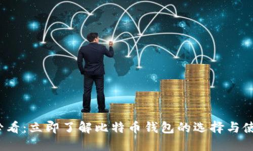 2025必看：立即了解比特币钱包的选择与使用指南