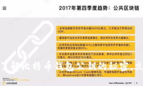 2025必看：深入了解比特币钱包公钥的秘密，立即获取安全指南