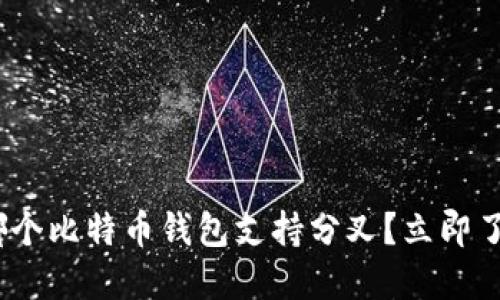 2025必看：哪个比特币钱包支持分叉？立即了解最优选择！