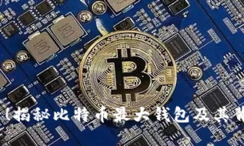2025必看！揭秘比特币最大钱包及其背后的秘密