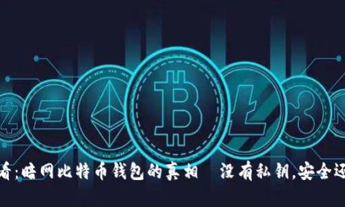 2025必看：暗网比特币钱包的真相—没有私钥，安全还是危险？