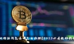 比特派钱包丢币怎么办理？2023必看救助指南