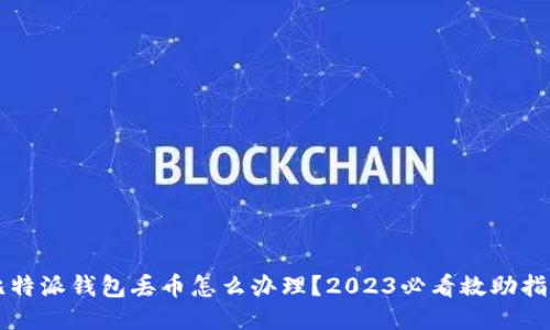 比特派钱包丢币怎么办理？2023必看救助指南