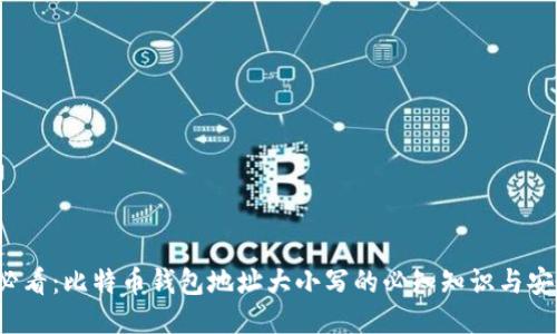 2025必看：比特币钱包地址大小写的必知知识与安全提示