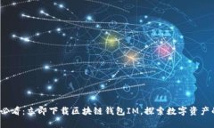 2025必看：立即下载区块链钱包IM，探索数字资产
