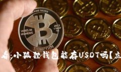 2025必看：小狐狸钱包能存USDT吗？立刻了解！