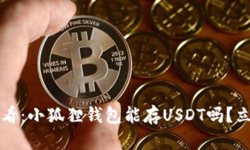 2025必看：小狐狸钱包能存USDT吗？立刻了解！