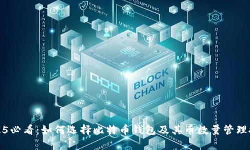 2025必看：如何选择比特币钱包及其币数量管理技巧