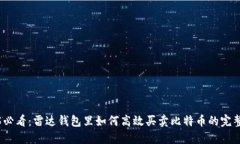 2025必看：雷达钱包里如何高效买卖比特币的完整