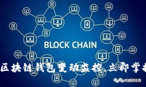 2025必看：区块链钱包变动监控，立即掌握资产动态！