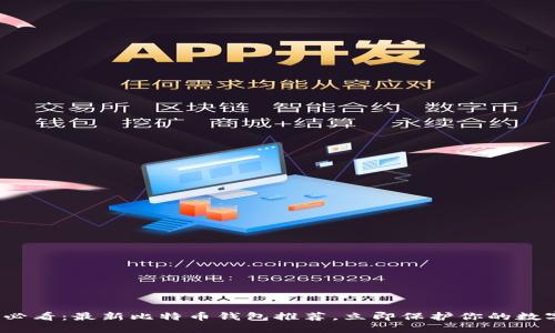 2025必看：最新比特币钱包推荐，立即保护你的数字资产