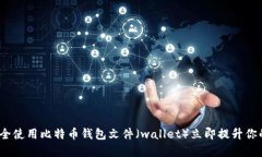 2025必看：如何安全使用比特币钱包文件（wallet）