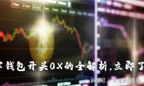 2025必看！区块链数字钱包开头0X的全解析，立即了解安全和赚钱的秘诀！