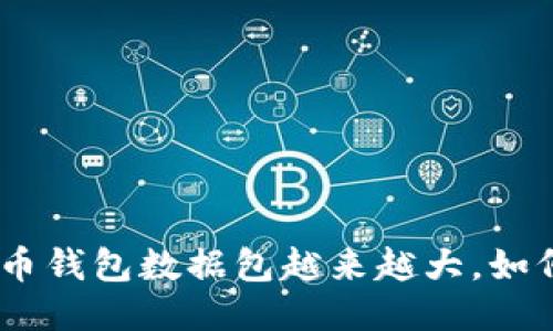 2025必看：比特币钱包数据包越来越大，如何应对这一挑战？