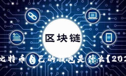立即了解：比特币自己的钱包是什么？2025必看指南