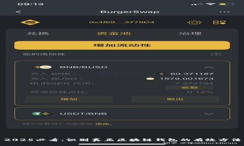 2025必看：识别真正区块链钱包的有效方法