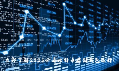 立即了解2025必看比特币存储钱包选择！