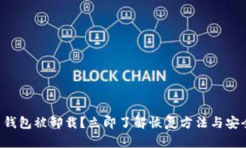 比特币钱包被卸载？立即了解恢复方法与安全建议！