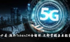 2025必看：海外TokenIM全解析，立即掌握未来投资趋