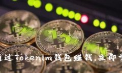 2025必看：如何通过Tokenim钱包赚钱，立即掌握最新