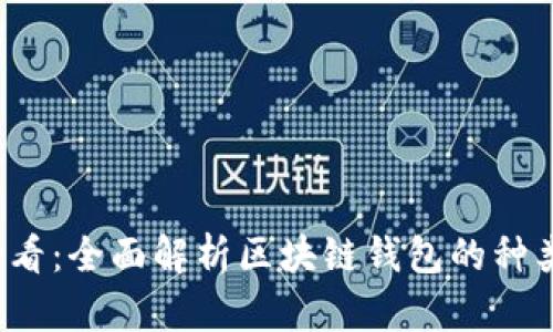 2025必看：全面解析区块链钱包的种类与应用