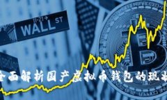 2025必看：全面解析国产虚拟币钱包的现状与未来