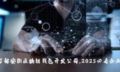 立即了解安徽区块链钱包开发公司，2025必看企业