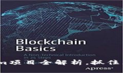 2025必看：Tokenim项目全解析，抓住区块链投资新机