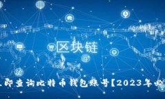 如何立即查询比特币钱包账号？2023年必看指南