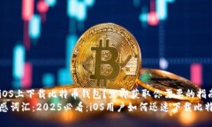 如何在iOS上下载比特币钱包？立即获取你需要的