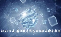 2025必看：存比特币钱包的风险与安全指南