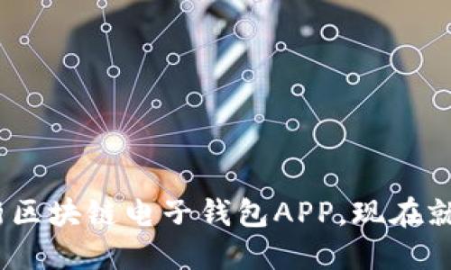 2025必看：全新区块链电子钱包APP，现在就了解它的魅力！