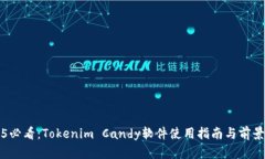 2025必看：Tokenim Candy软件使用指南与前景展望
