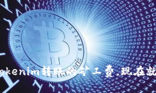 2025必看：全面解析Tokenim转账的矿工费，现在就了解影响费用的因素！
