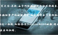bianxi2025必看：立即掌握Tokenim如何实现EOS映射/b