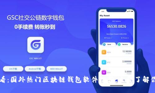 2025必看：国外热门区块链钱包软件推荐，立即了解你的选择！