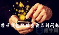 如何解决比特币钱包地址查询不到问题？立即了