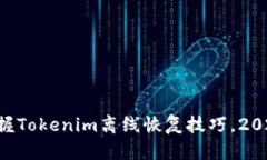 立即掌握Tokenim离线恢复技巧，2025必看！