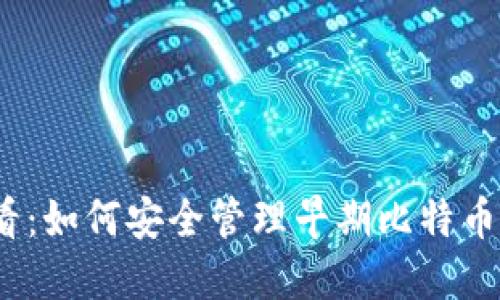 2025必看：如何安全管理早期比特币钱包私钥