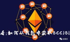 立即领取！比特币用户必看：如何从钱包中获取
