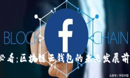 2025必看：区块链云钱包的未来发展前景分析