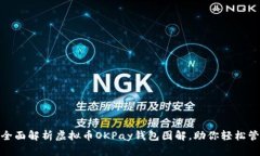 2025必看：全面解析虚拟币OKPay钱包图解，助你轻